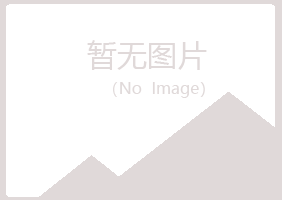 青海雅山会计有限公司